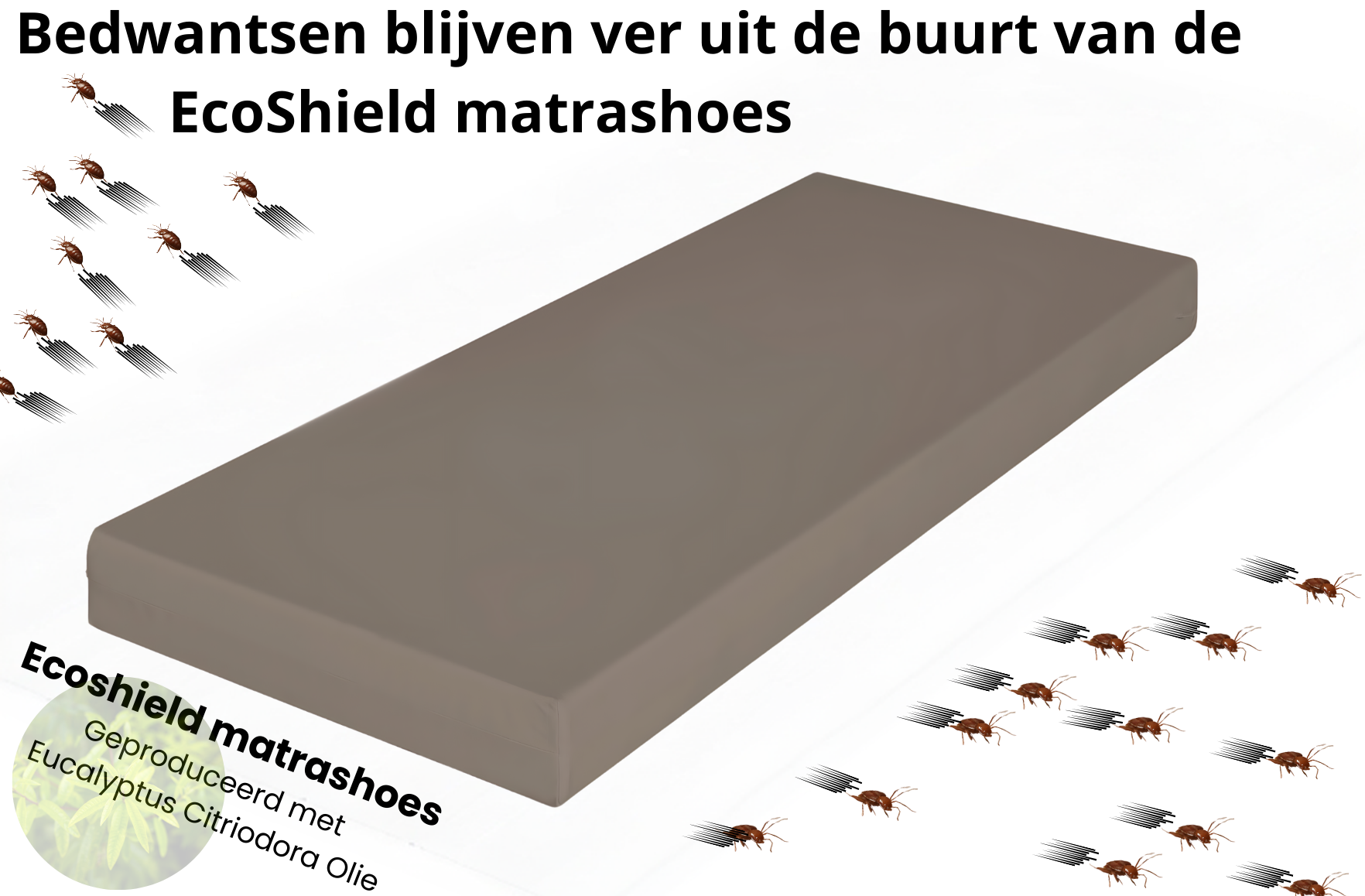 Bedwantsen bliiven ver uit de buurt van de EcoShield matrashoes