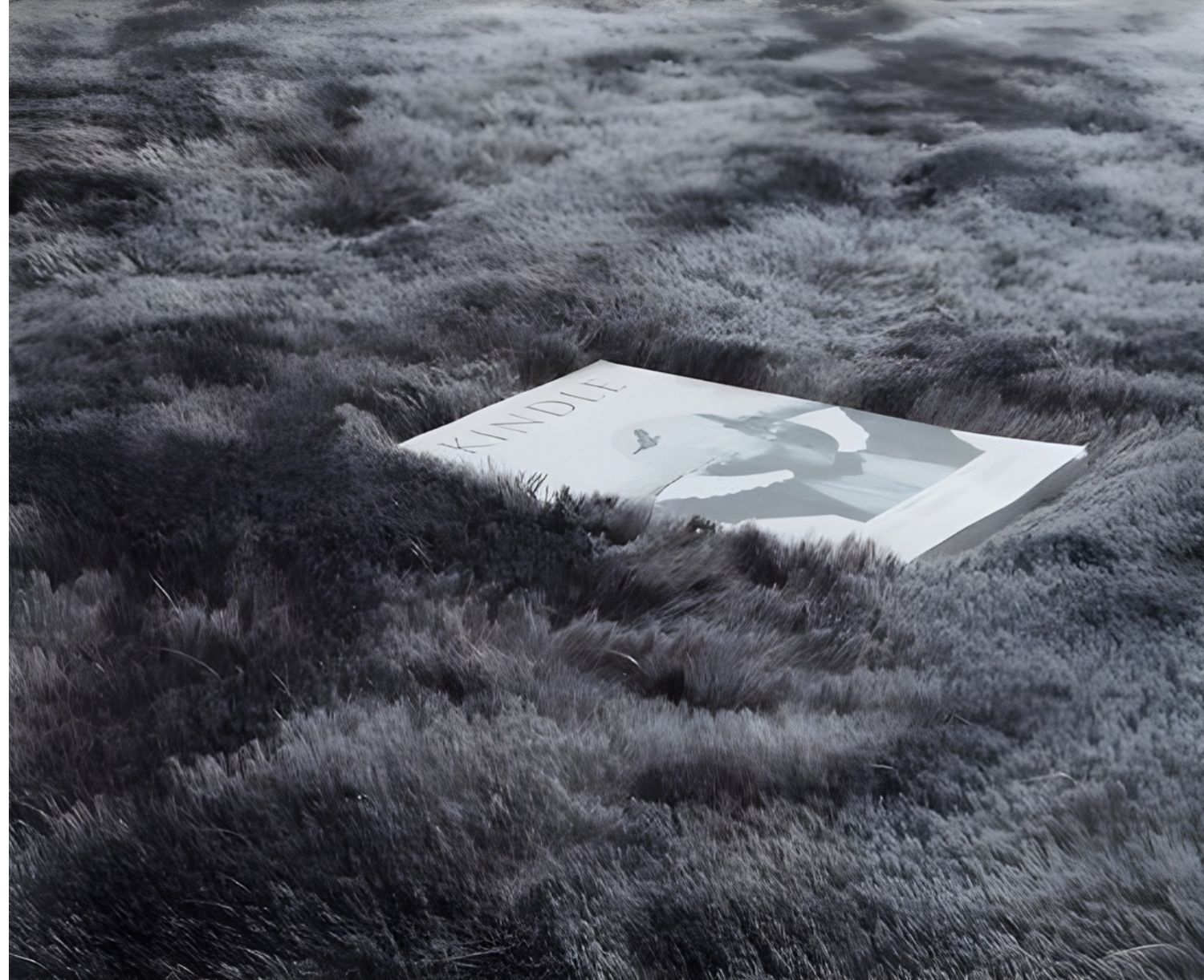 Detail van hoogpolig donkergrijs vloerkleed waarin een tijdschrift wegzakt in de zachte, volle pool.