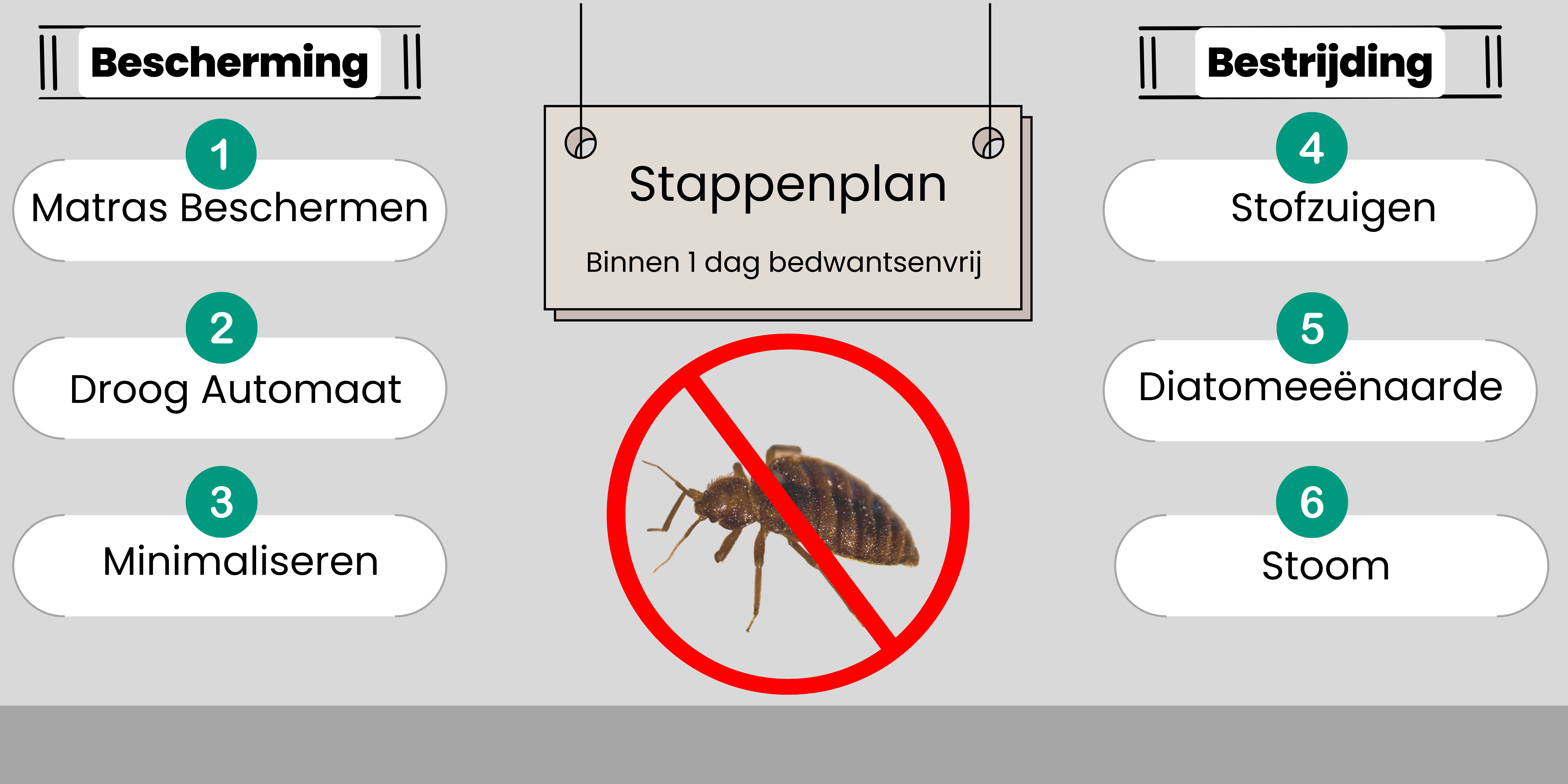 Bedwantsen bestrijden stappenplan
